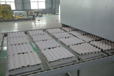 High Efficiency Fruit Pallet Egg Tray Production Line , Apple Tray Machine